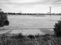 Düsseldorf, bei der Bremerstrasse - Rhein, Solo I